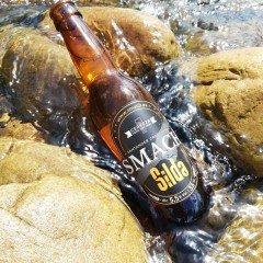 Smach - cerveza Silda