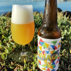 Smach - cerveza SPI