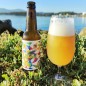 Smach - cerveza SPI, pack de botellines de 33 cl.