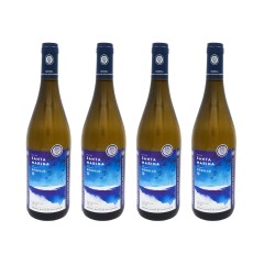 Bodega Bahía de Santander - Vino blanco Godello Isla de Santa Marina 2023