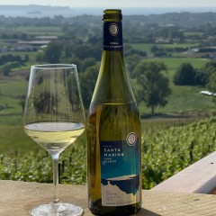 Bodega Bahía de Santander - Vino blanco Godello Isla de Santa Marina 2023, pack de 4 botellas de 75 cl.