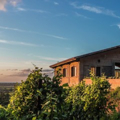 Bodega Bahía de Santander