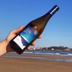 Bodega Bahía de Santander - Vino blanco Riesling Isla de Santa Marina 2023, pack de 4 botellas de 75 cl.