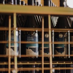 Bodega Bahía de Santander - Vino blanco Riesling Isla de Santa Marina 2023