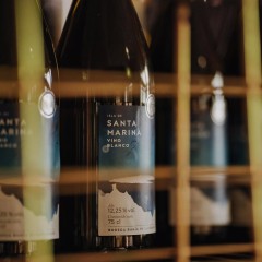 Bodega Bahía de Santander - Vino blanco Riesling Isla de Santa Marina 2023