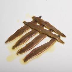La Mar Salada - Anchoas del Cantábrico en aceite de oliva