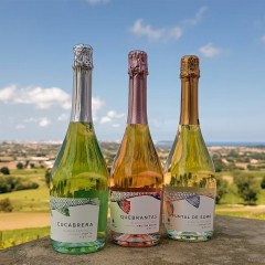 Bodega Bahía de Santander - Vinos Frizzantes