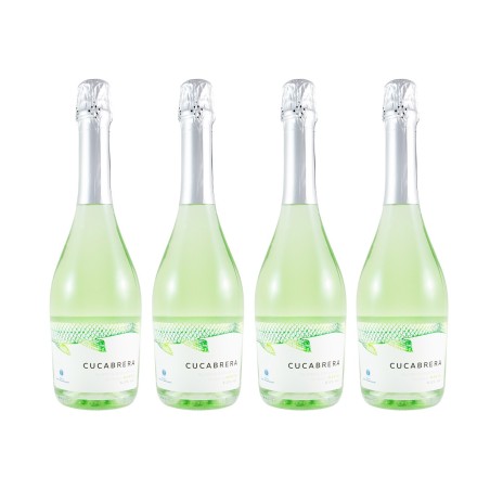 Bodega Bahía de Santander - Vino Frizzante Cucabrera