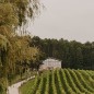 Bodega Bahía de Santander - Vino frizzante Quebrantas, pack de 4 botellas de 75 cl. Bodega Bahía de Santander - Vino frizzante Quebrantas, pack de 4 botellas de 75 cl.