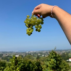 Bodega Bahía de Santander