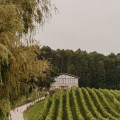 Bodega Bahía de Santander
