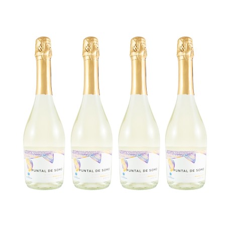 Bodega Bahía de Santander - Vino frizzante Puntal de Somo