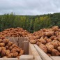 Vallucas - Patata de Valderredible, caja fresca de 10 kg Vallucas - Patata de Valderredible, caja fresca de 10 kg