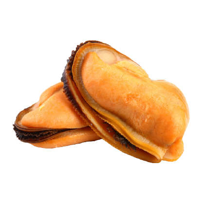  Mejillones 